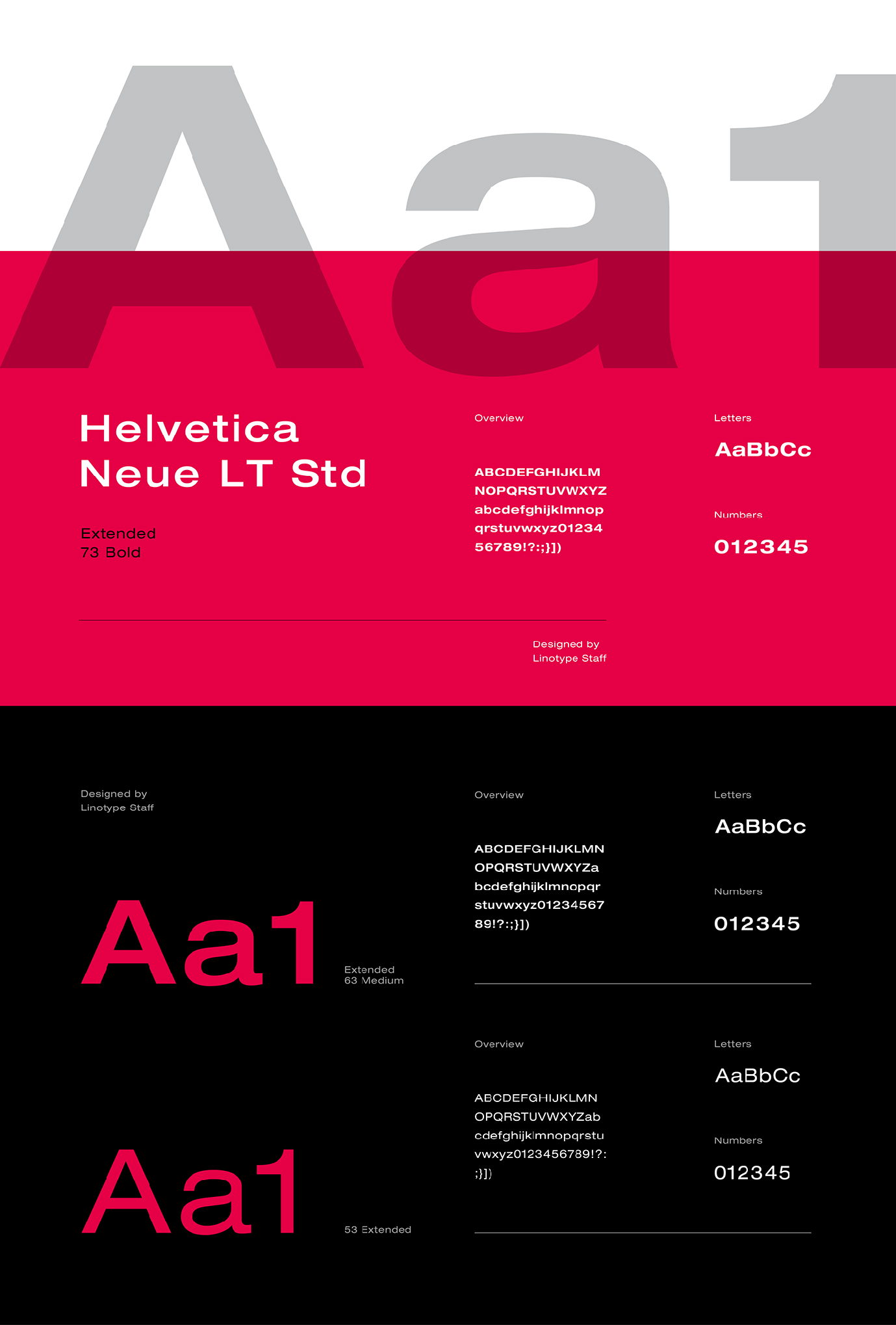 VIT Fitness Branding-07