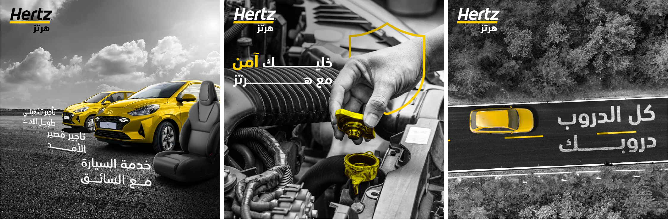 HERTZ (8)