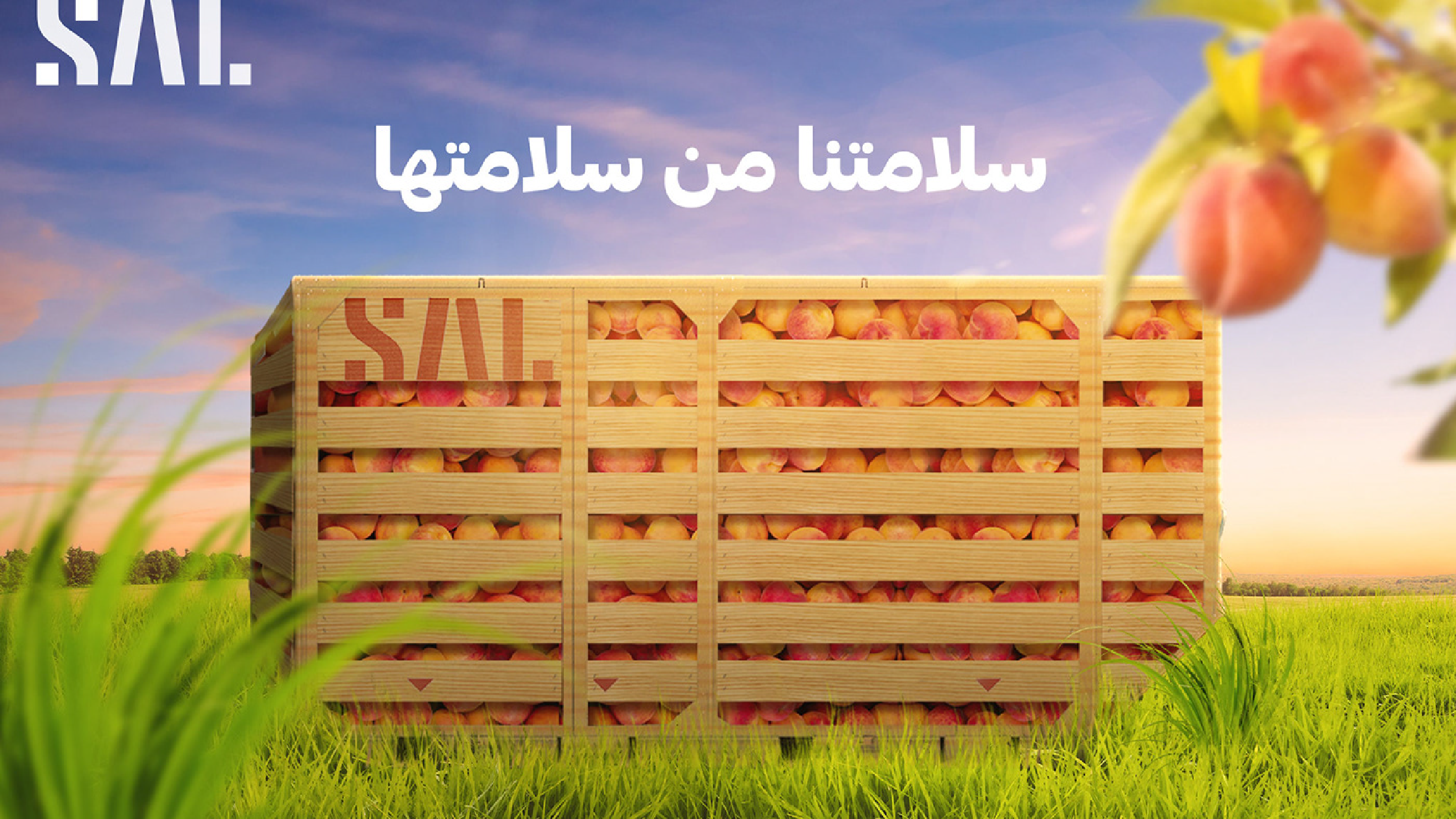 SAL creative social media design (19)