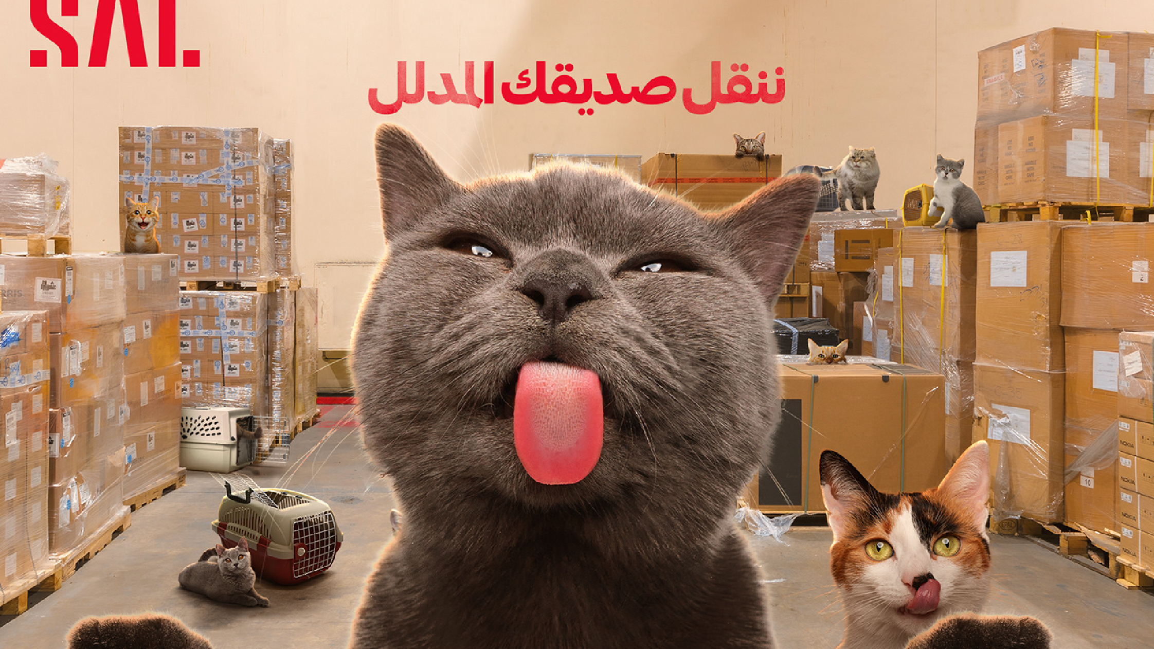 SAL creative social media design (32)