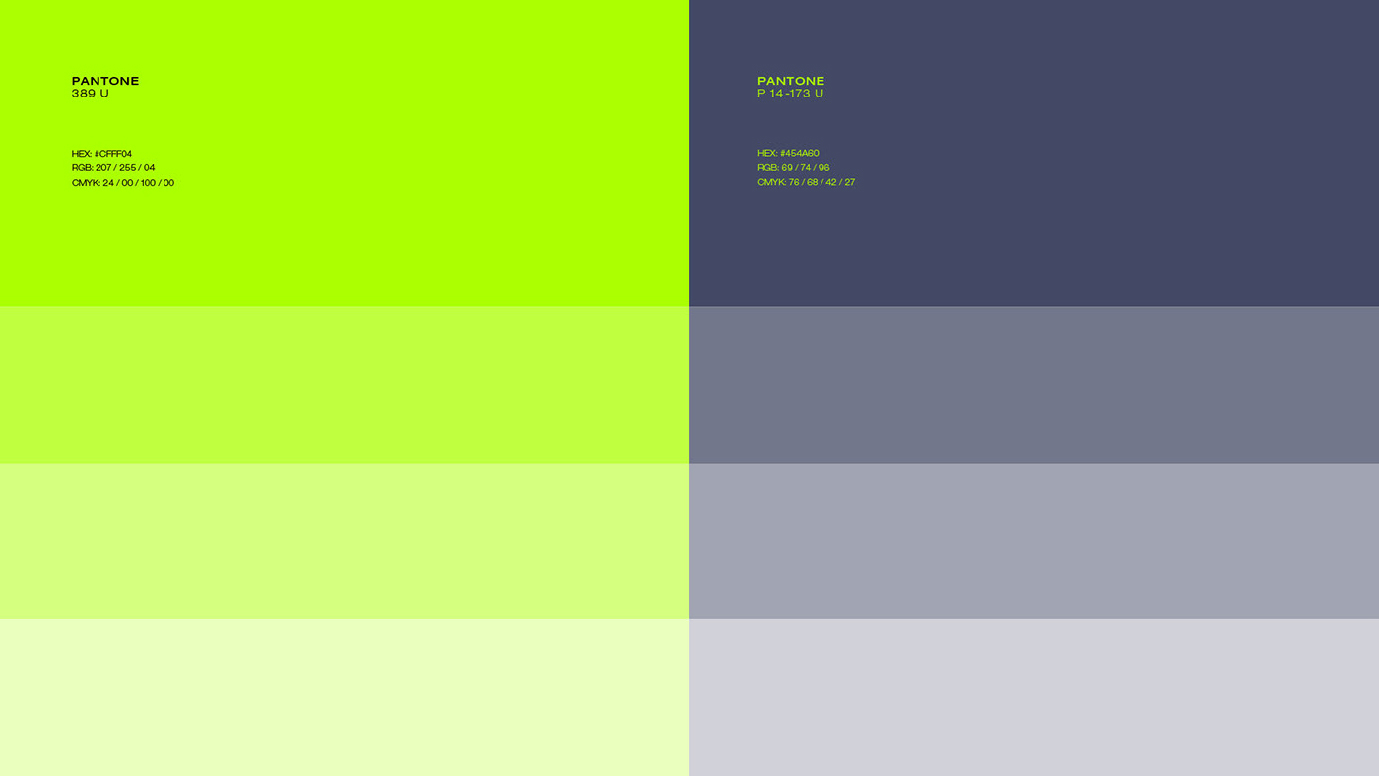 Swift Full Branding-03