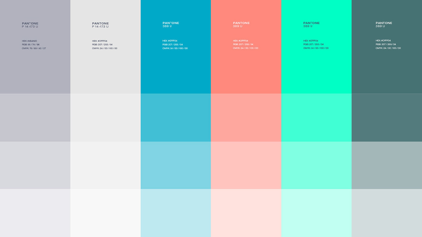 Swift Full Branding-04